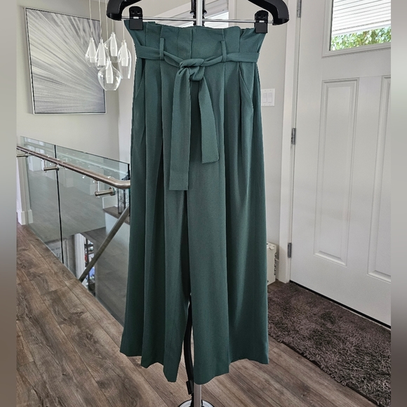 Pine Green pants from Babaton, Aritzia - Picture 2 of 6